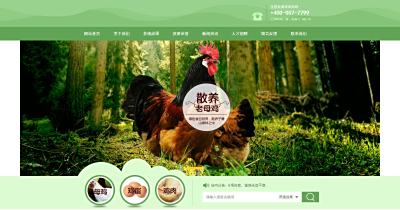 样式157